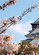 Image result for Things to Do in Osaka in March
