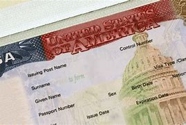 Image result for U.S. Visa Image