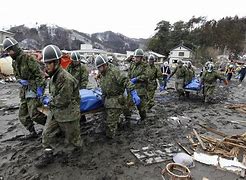 Image result for Tohoku Earthquake Bodies