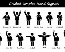 Image result for Cricket Umpire Out Sign