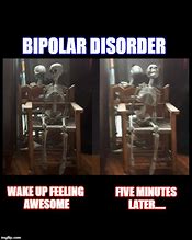 Image result for Bipolar Memes Funny