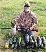 Image result for A Hunter in Hunting Gear