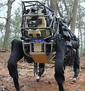 Image result for DARPA Robot Dog