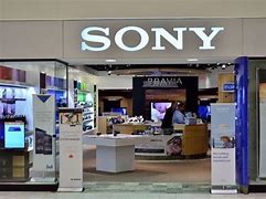 Image result for Sony Net Worth