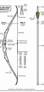 Image result for Recurve Bow Limbs