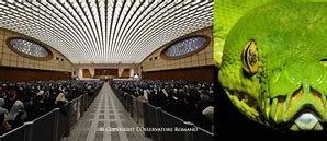 Image result for Vatican City Snake Head Audience Hall