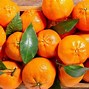 Image result for Different Oranges