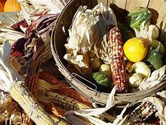 Image result for Native American Cooking Tools