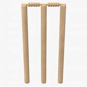 Image result for Turf Wicket Cricket