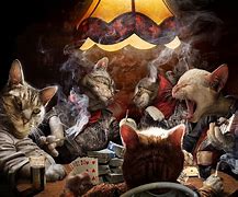 Image result for Cats Partying