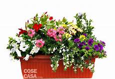 fioriere da davanzale sul davanzale una cassetta fiorita tutta l estate fiori fioriere da davanzale sul davanzale una cassetta fiorita tutta l estate fiori