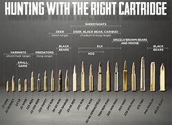 Image result for Hunting Rifle Calibers Smallest to Largest