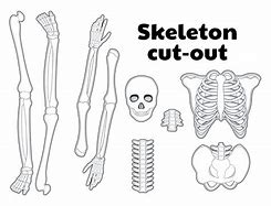 Image result for Skeleton Bones Pattern