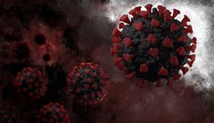 Image result for Virus Moluskum