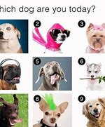 Image result for Which Mood Are You Today Meme
