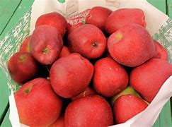 Image result for Bag of Apples