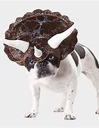 Image result for Puppy Dog Halloween Costumes