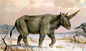 Image result for Unicorn Rhino
