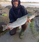 Image result for Trout Fishing Ireland
