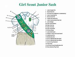 Image result for What Is a Girl Scout Sash