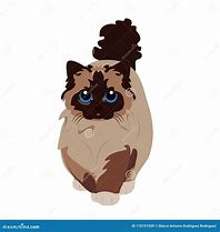 Image result for Cute Fluffy Cartoon