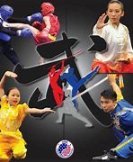 Image result for Wushu