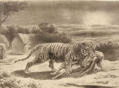 Image result for Champawat Tiger