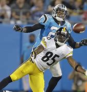 Image result for Steelers Bears Panthers Seahawks Photo