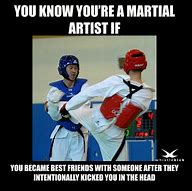 Image result for Funny Martial Arts Quotes