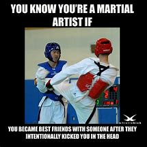 Image result for Funny Taekwondo Memes