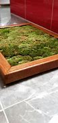 Image result for Moss Bath Mat