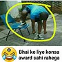 Image result for Funny Memes in Hindi On Teamwork