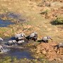 Image result for Botswana Safari