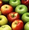 Image result for Website Background Image with Laptop with Apple Fruit Cut Image