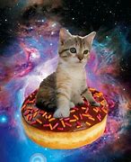 Image result for Taco Cat Galaxy