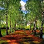 Image result for Free Beautiful Spring Wallpapers