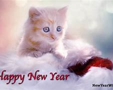 Image result for Happy New Year Cute Kittens