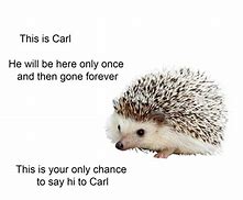 Image result for This Is Carl Meme