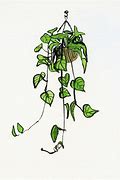 Image result for Flower On Hanging Vines Drawing