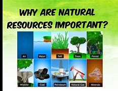 Image result for Why Do We Need Natural Resources