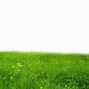 Image result for Field Background Clip Art