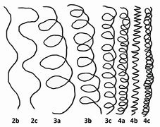 Image result for Hair Growth Timeline Chart 4C