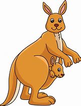 Image result for Kangaroo Limo Driver Cartoon