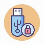 Image result for Encrypted USB Icon