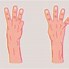 Image result for Finger Vector