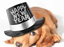 Image result for Happy New Year 2019 Dog Funny