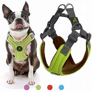 Image result for Medium Dog Harness