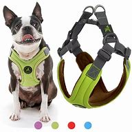 Image result for Adjustable Dog Harness