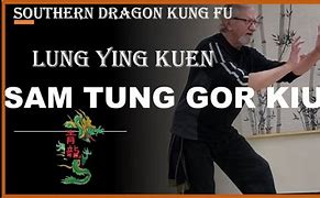 Image result for Southern Dragon Kung Fu