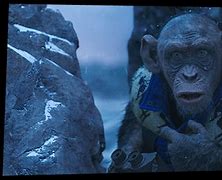 Image result for Planet of the Apes Damn You